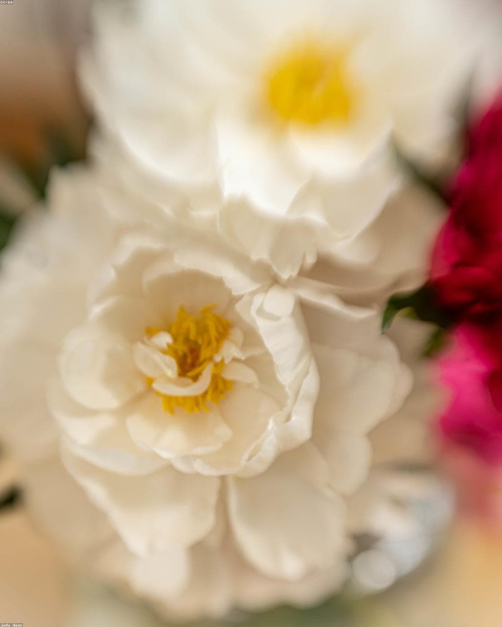 Pink peony arrangement